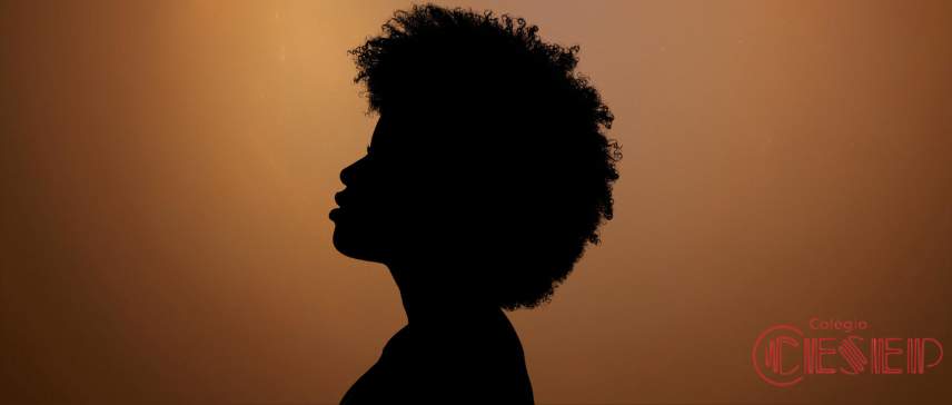 Dia da consciência negra: valorizando história e cultura capa notícia